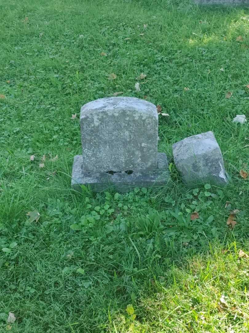 Frederick Eckstein's grave. Photo 2