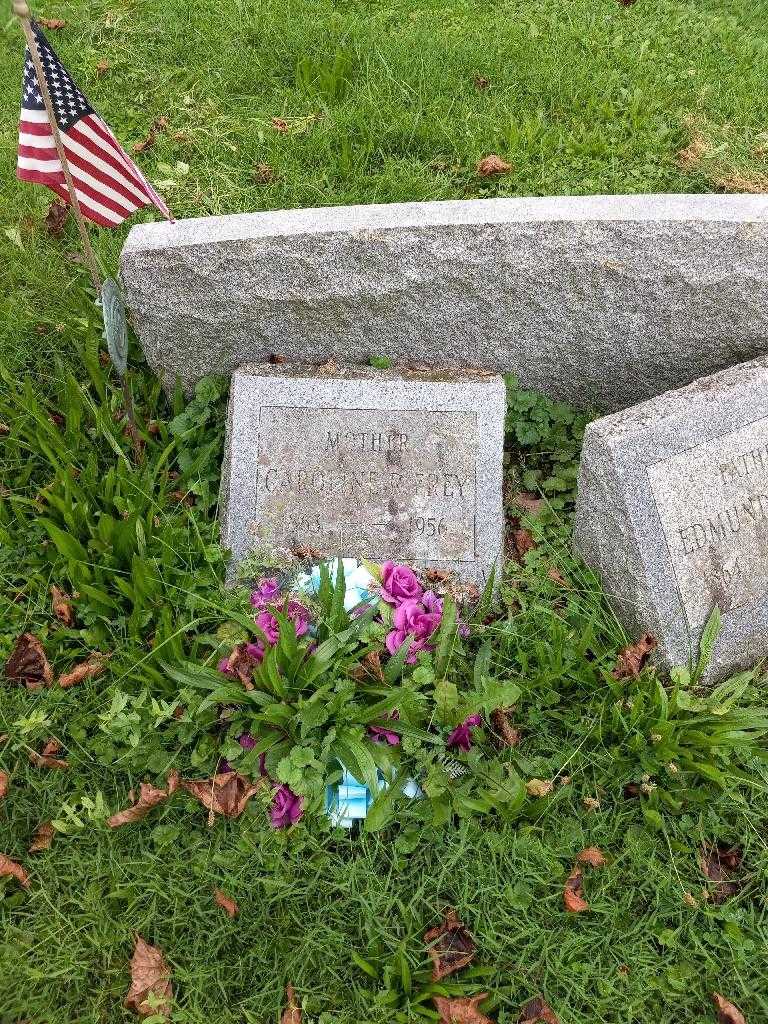 Caroline R. Frey's grave. Photo 2