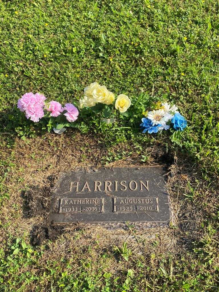 Augustus Harrison Senior's grave. Photo 3