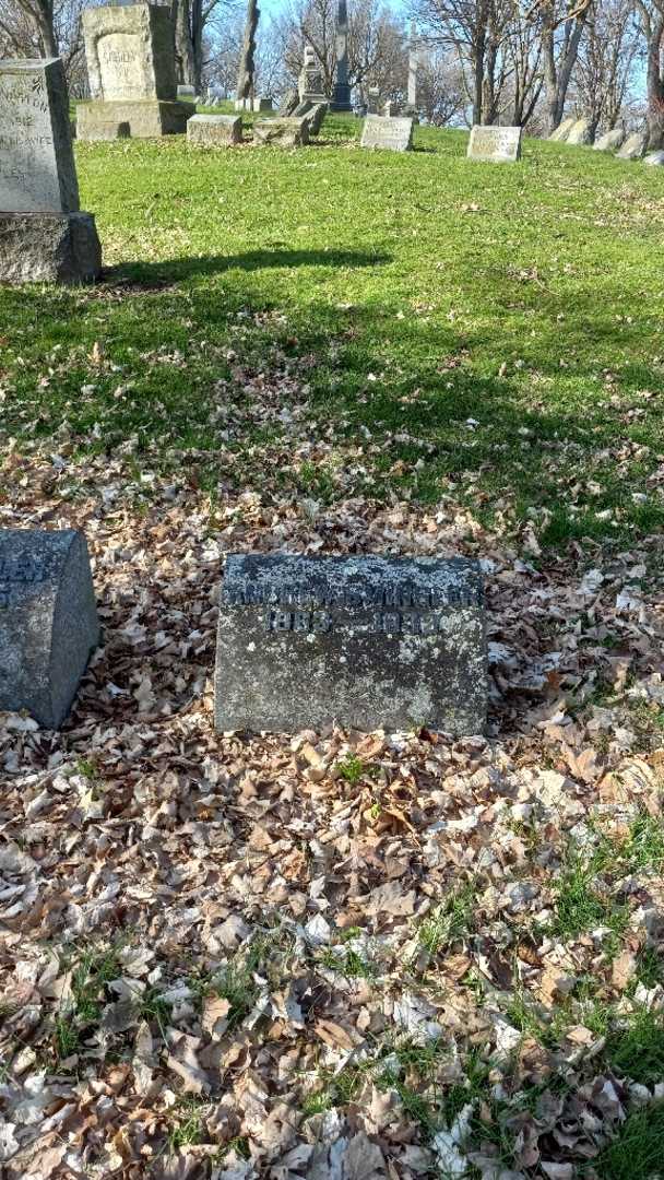 Andrew Smingler's grave. Photo 2