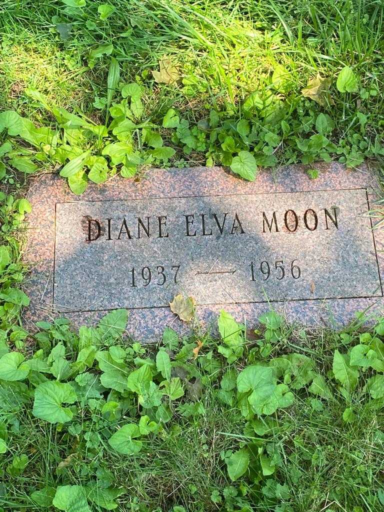 Diane Elya Moon's grave. Photo 3