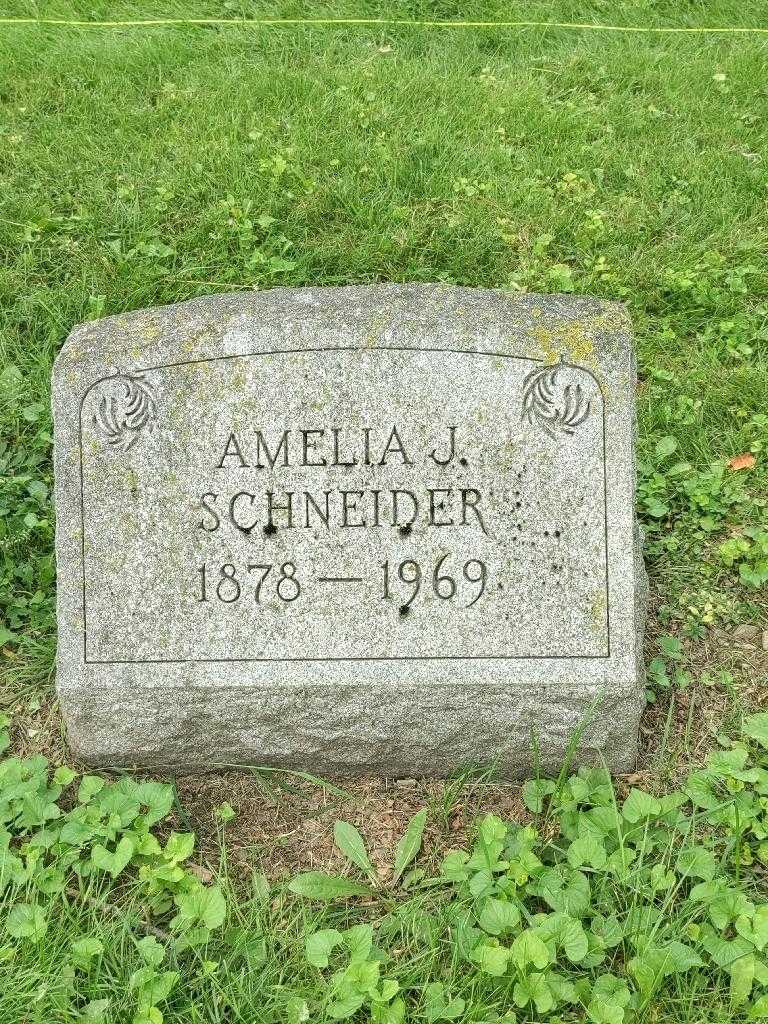 Amelia J. Schneider's grave. Photo 3