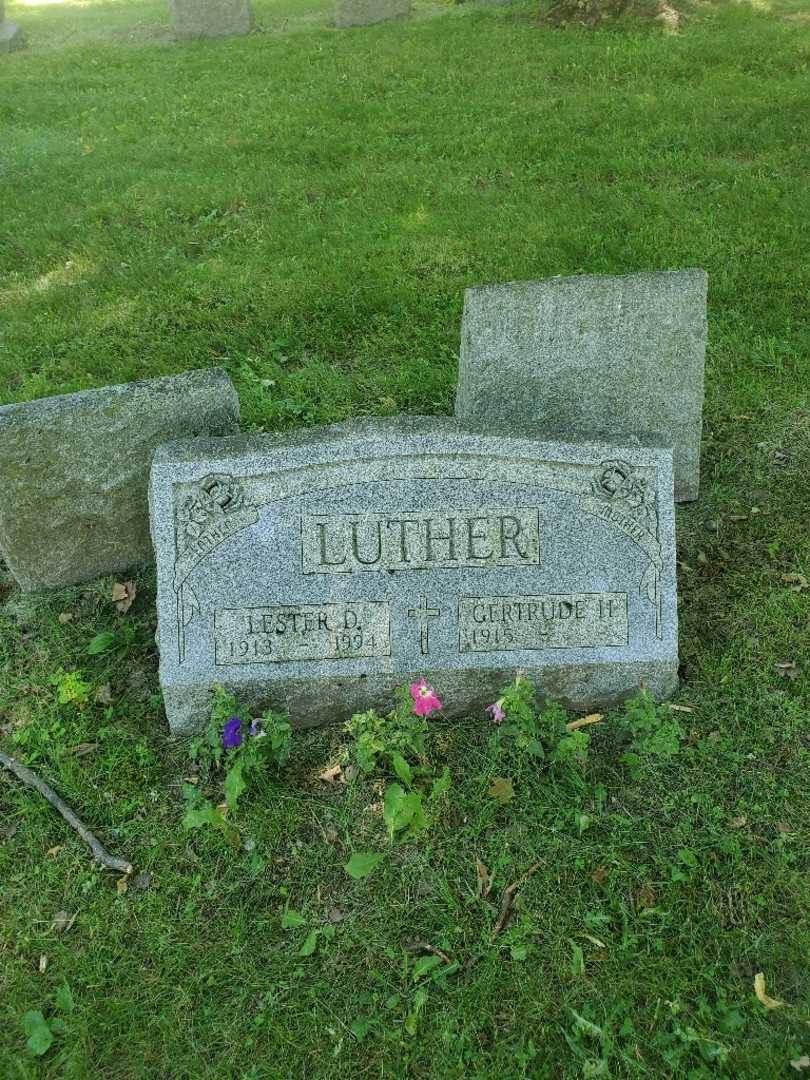Lester D. Luther's grave. Photo 3