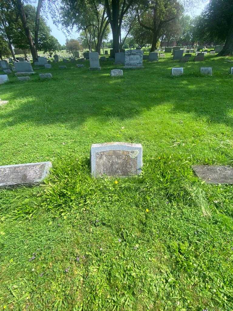 Rosina R. Steinger's grave. Photo 1