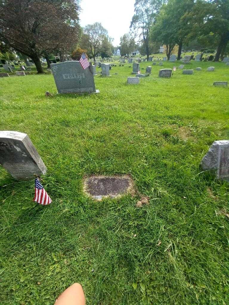 Harry J. Morris's grave. Photo 3