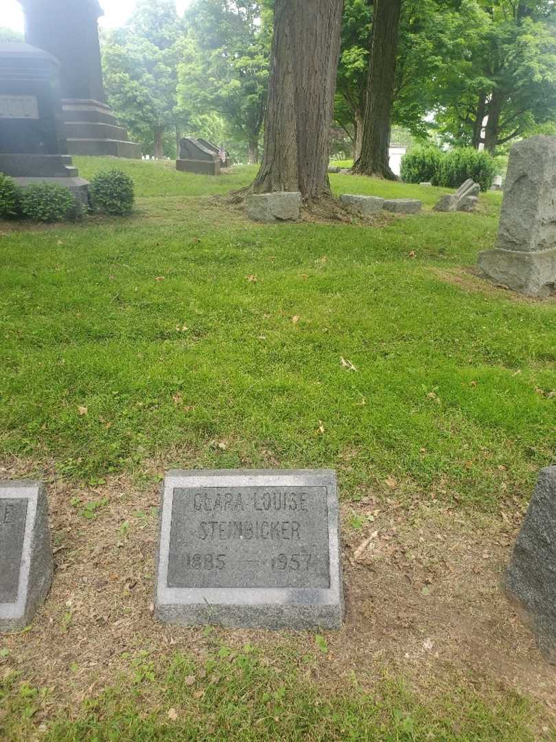Clara Louise Steinbicker's grave. Photo 1