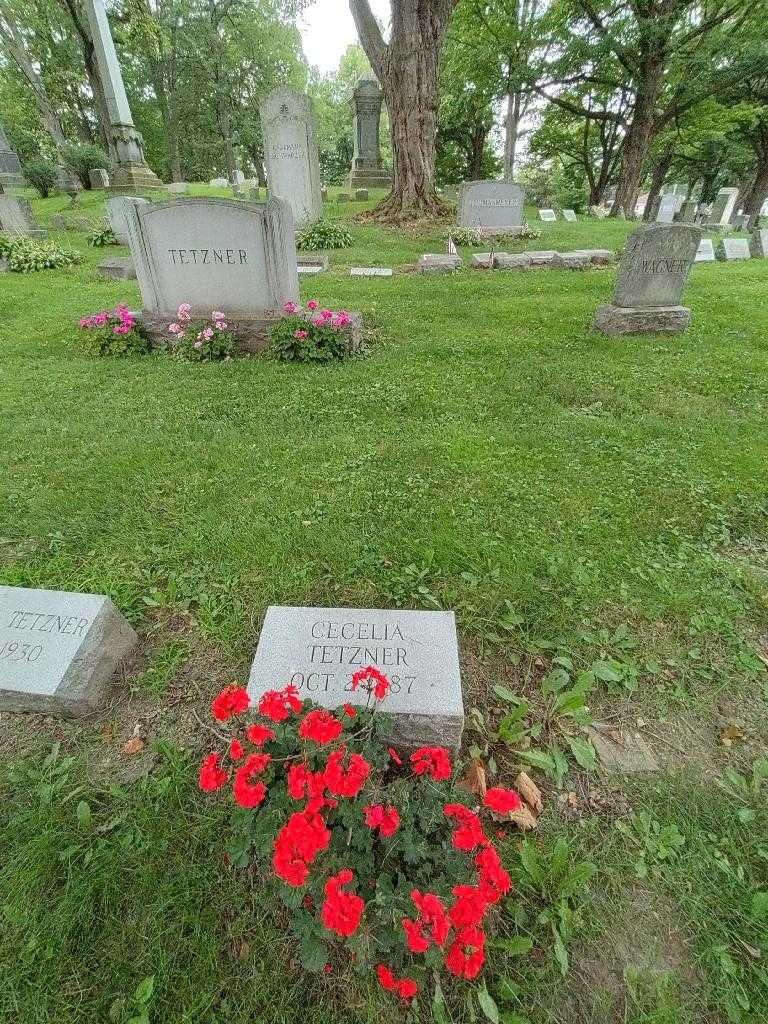 Cecelia Tetzner's grave. Photo 1