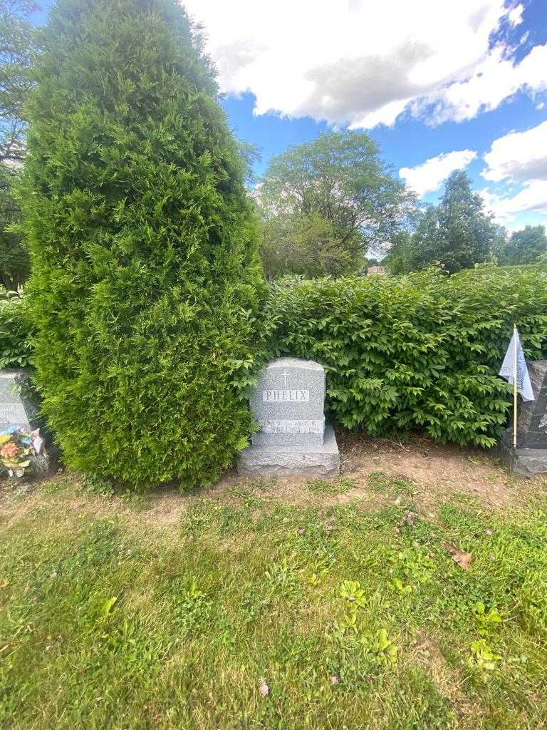 Amos H. Phelix's grave. Photo 1