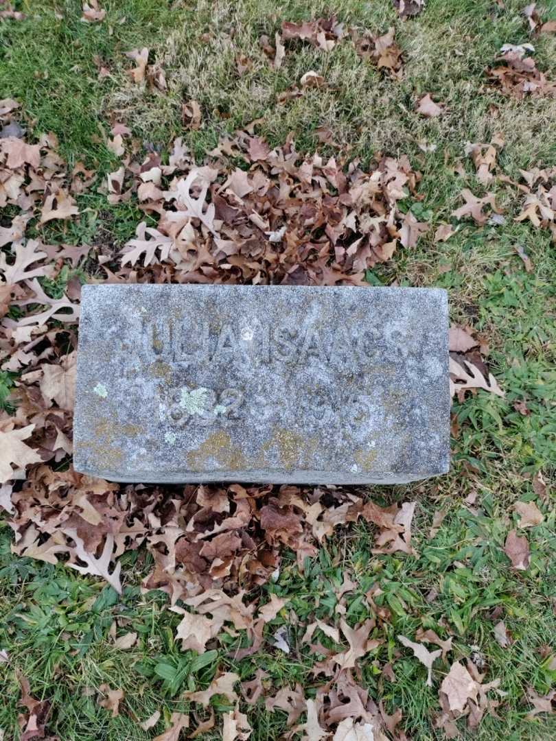 Julia Isaacs's grave. Photo 3