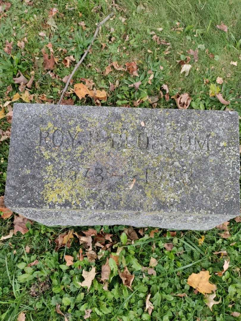 Roy B. Blossom's grave. Photo 3