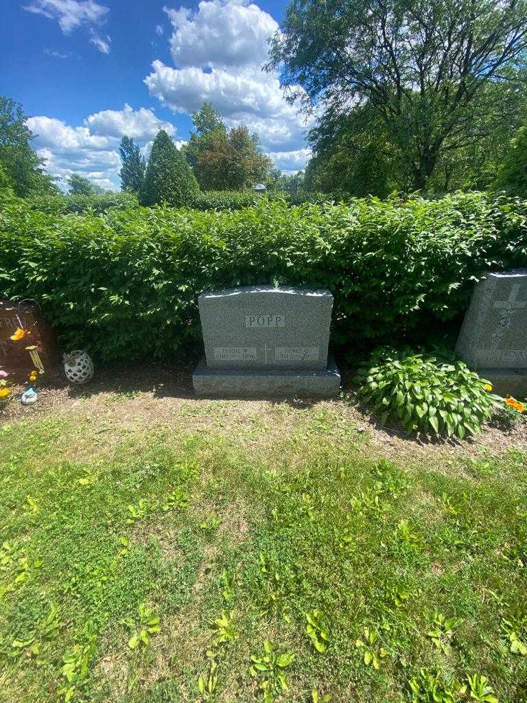 Lewis O. Popp's grave. Photo 1