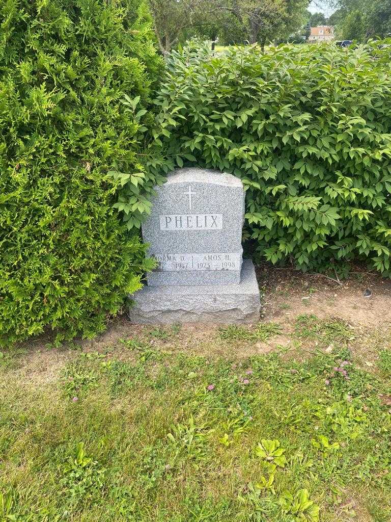 Amos H. Phelix's grave. Photo 2