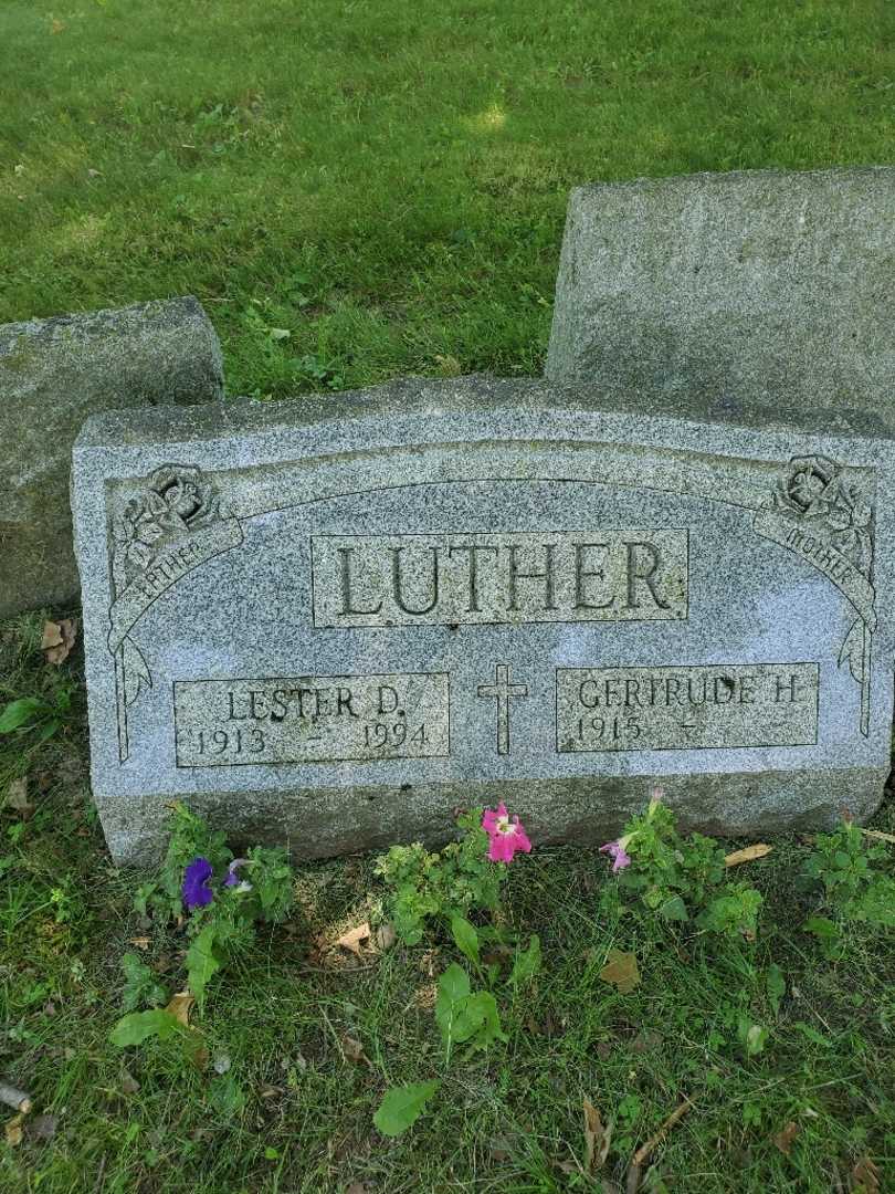 Lester D. Luther's grave. Photo 1