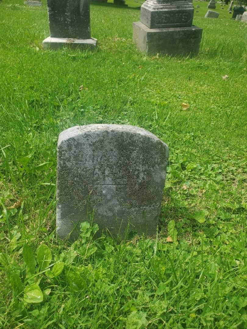 Chauncey N. Adams's grave. Photo 4