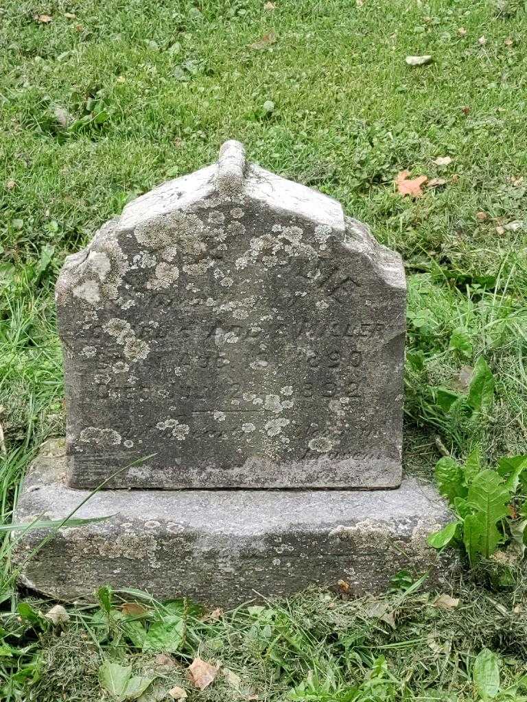 Edward A. Hummel Miller's grave. Photo 3