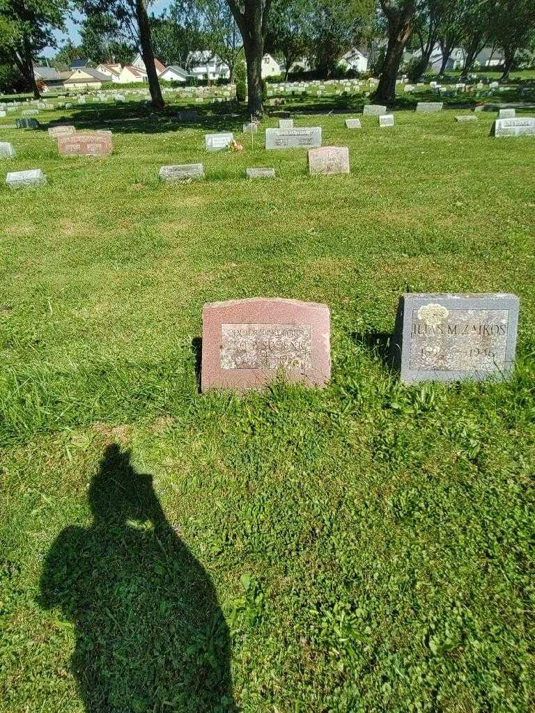 Leo P. Schenk's grave. Photo 1