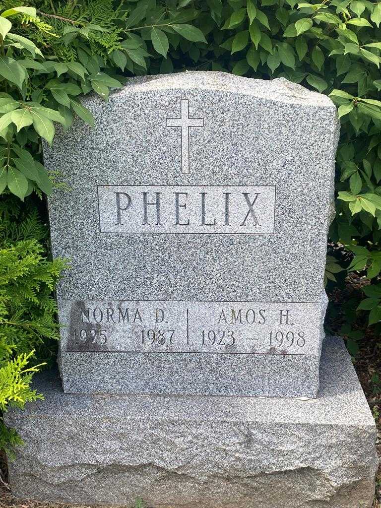 Amos H. Phelix's grave. Photo 3