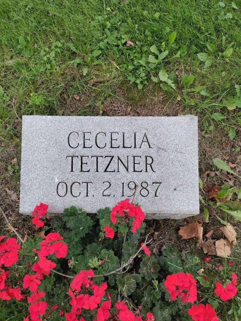 Cecelia Tetzner's grave. Photo 2