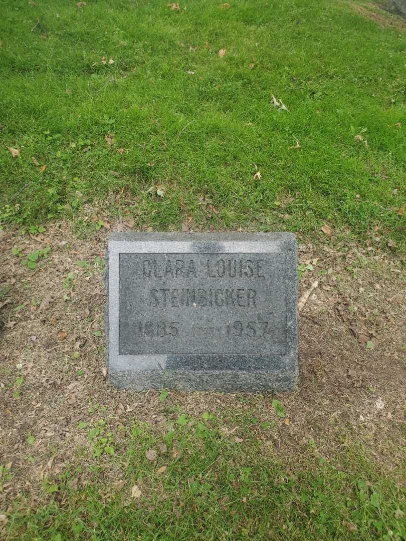 Clara Louise Steinbicker's grave. Photo 2