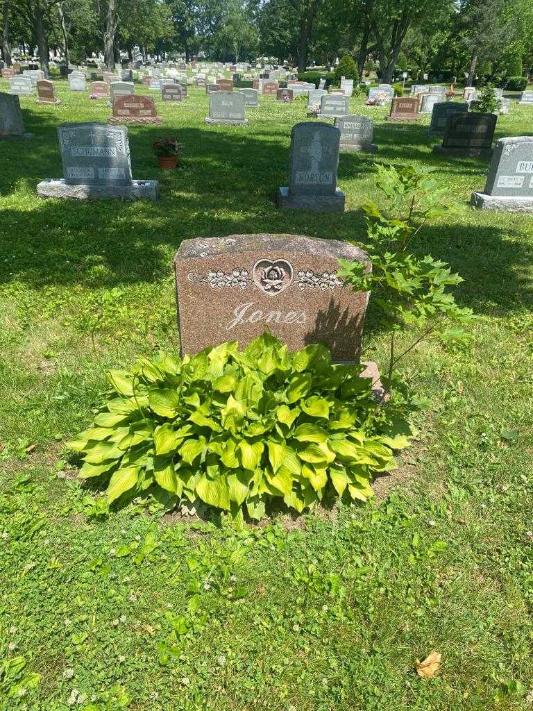 Edward D. Jones's grave. Photo 2