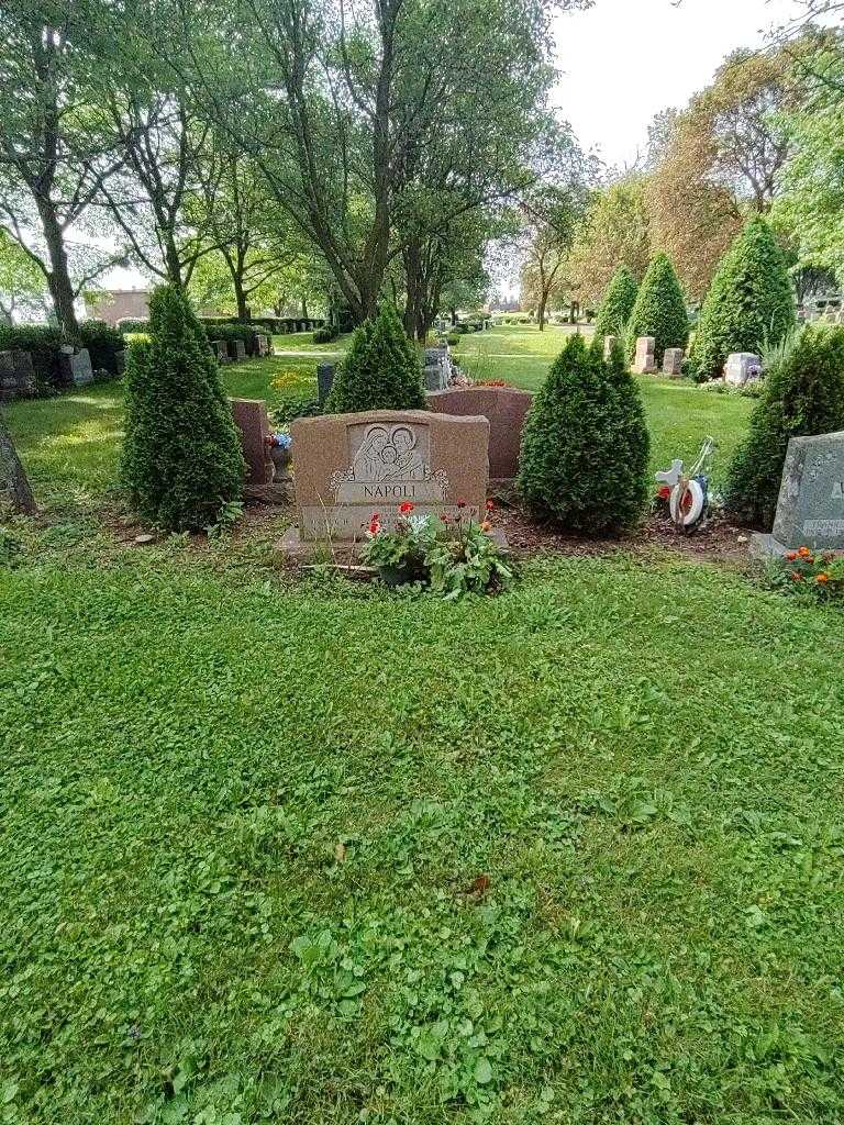 Joseph G. Napoli's grave. Photo 1