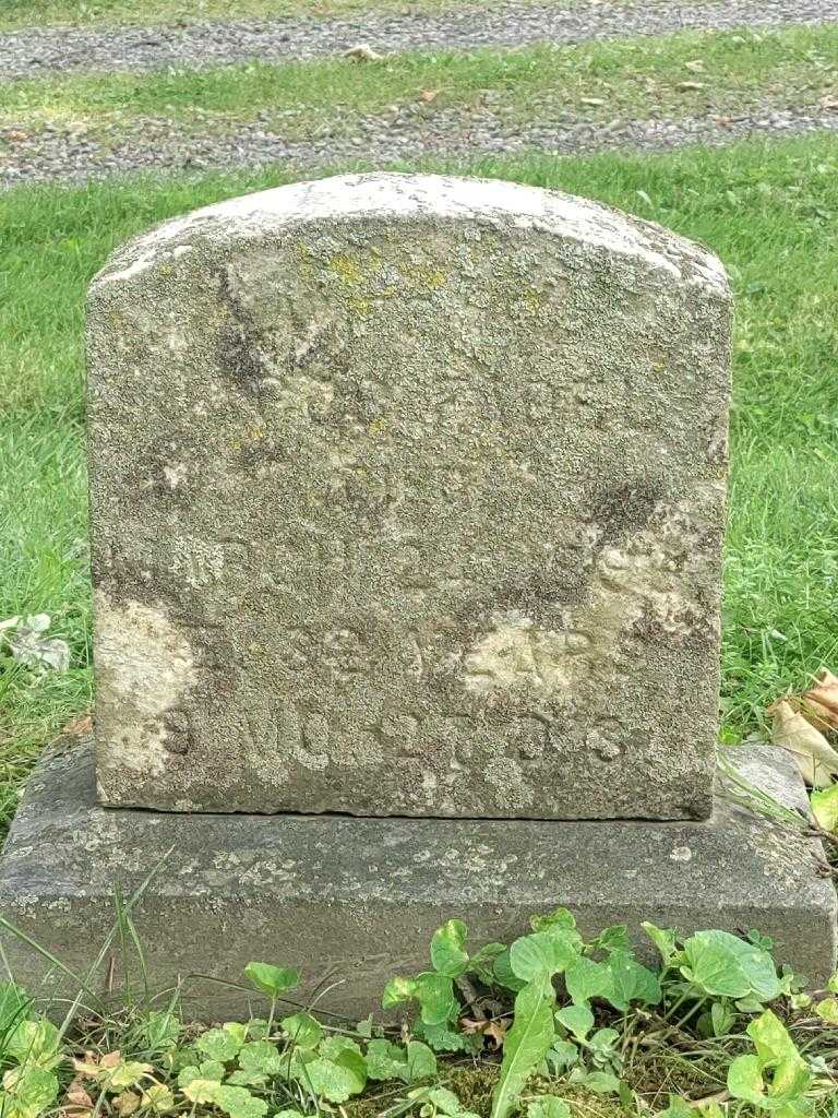 Carrie L. Fadel's grave. Photo 4