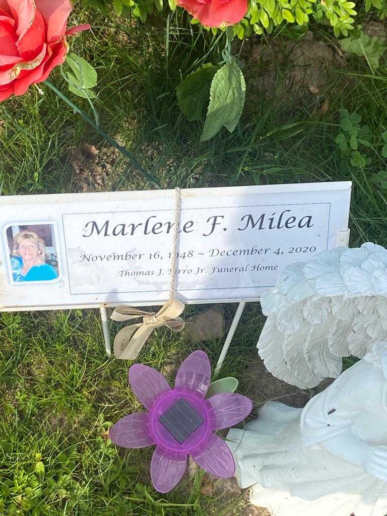 Marlene F. Milea's grave. Photo 3