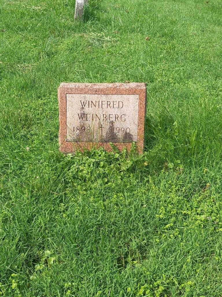 Winifred Weinberg's grave. Photo 2