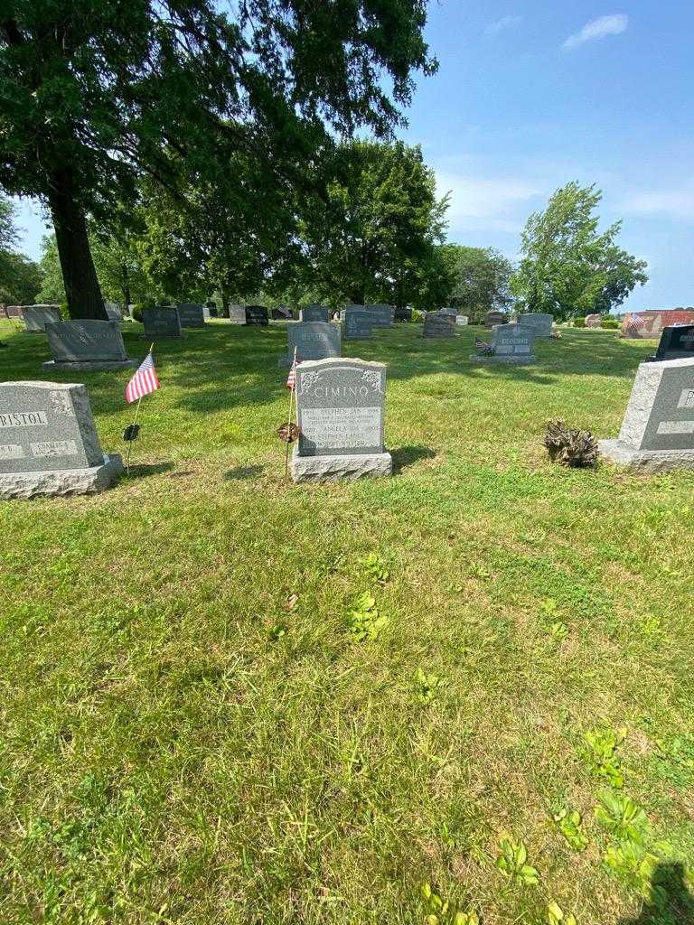 Stephen Jan Cimino's grave. Photo 1