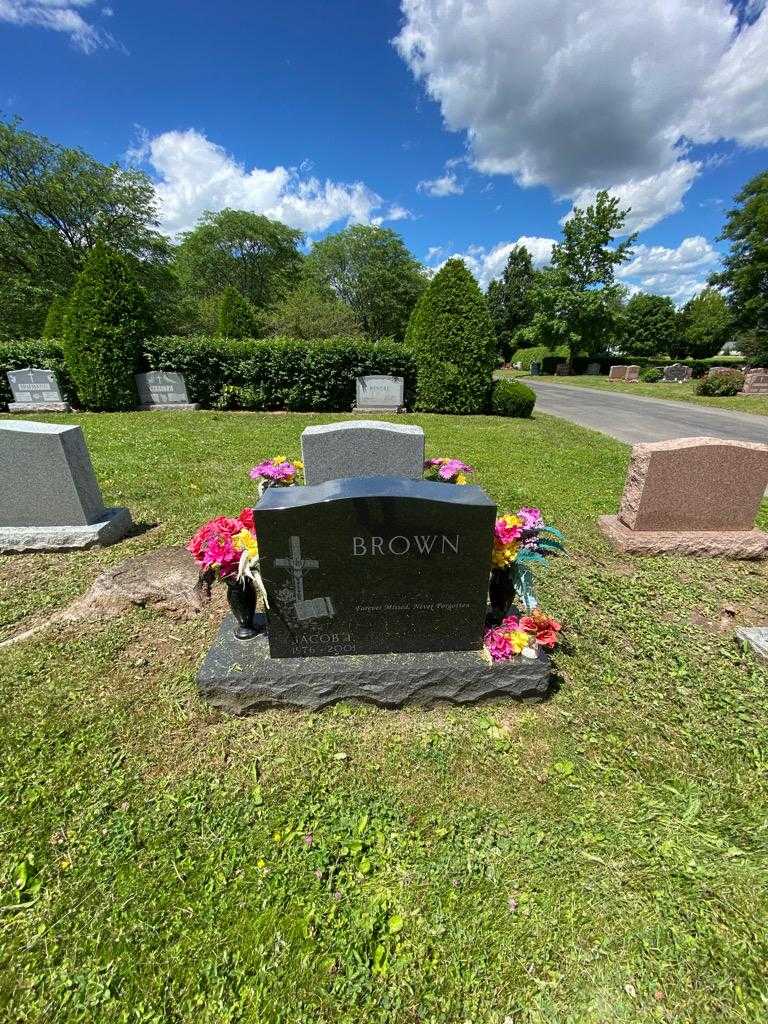 Jacob T. Brown's grave. Photo 1