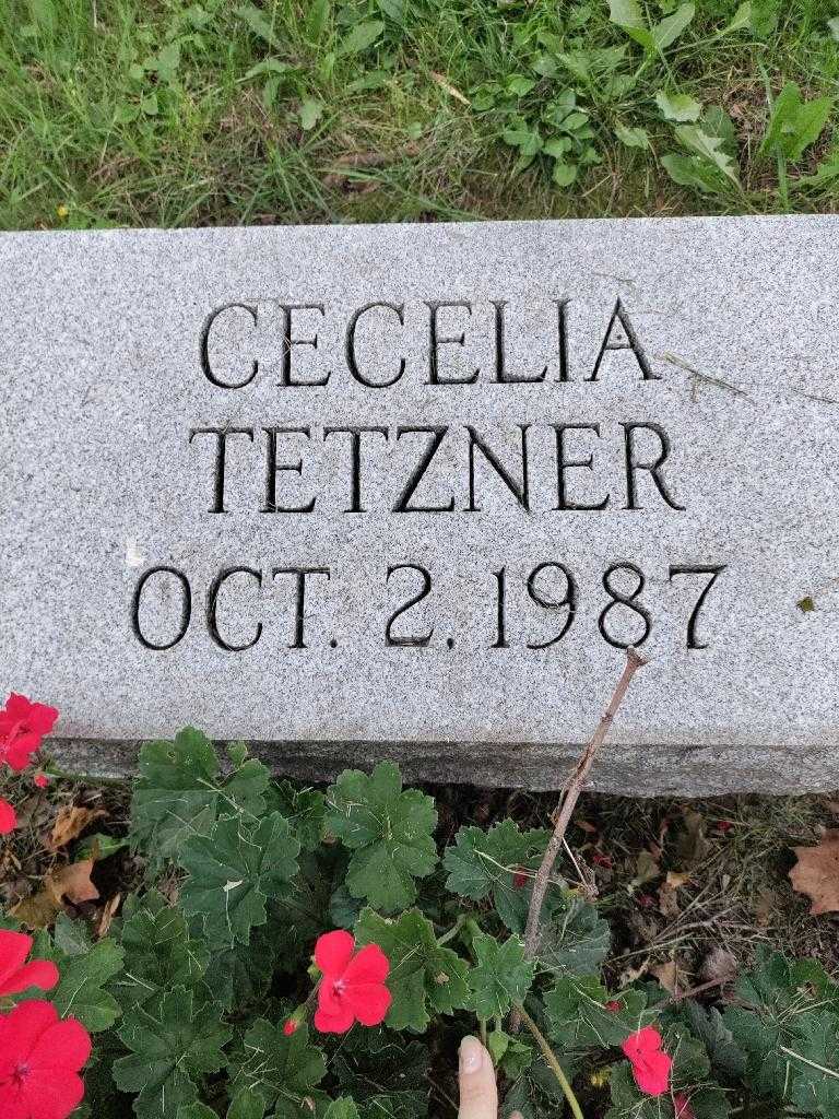 Cecelia Tetzner's grave. Photo 3