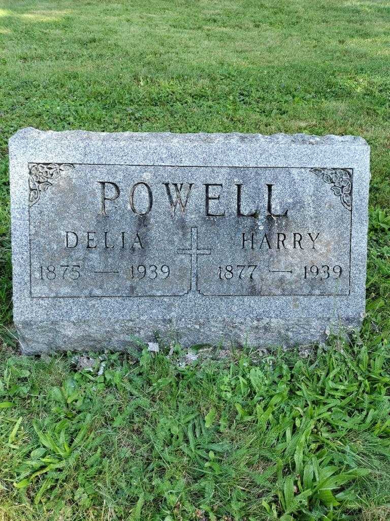 Harry F. Powell's grave. Photo 2