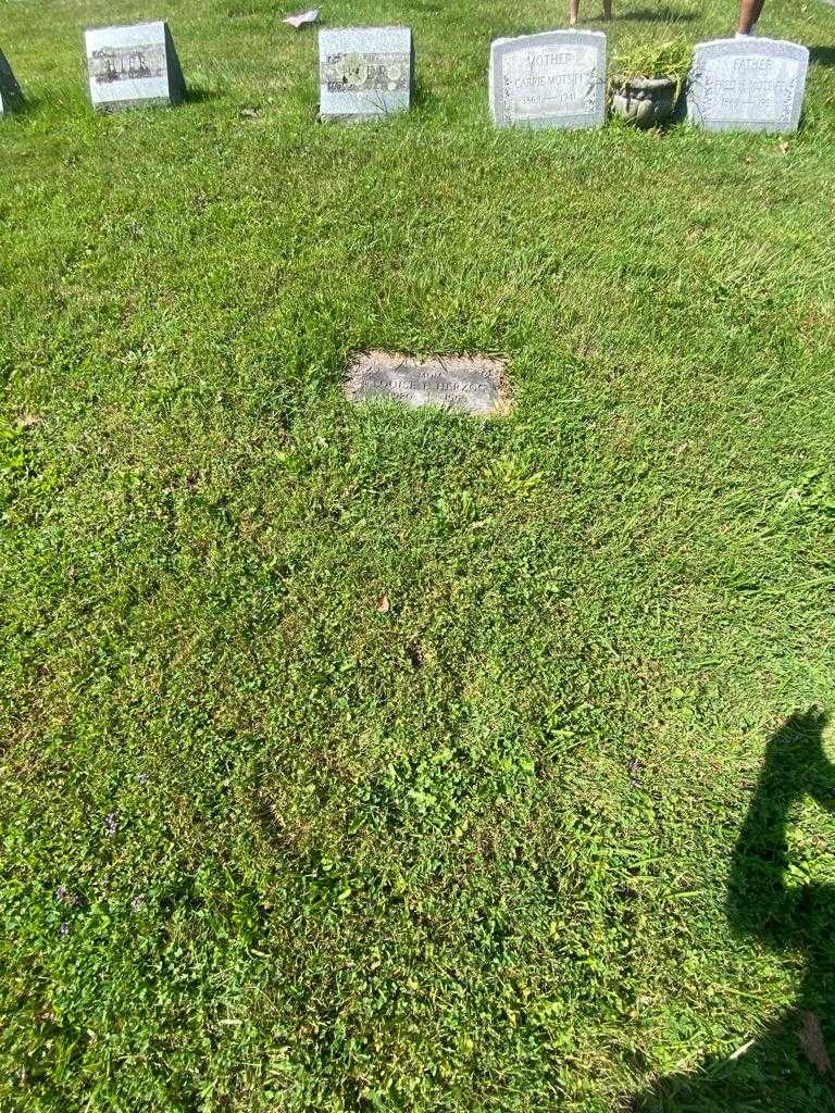 Louise E. Herzog's grave. Photo 1