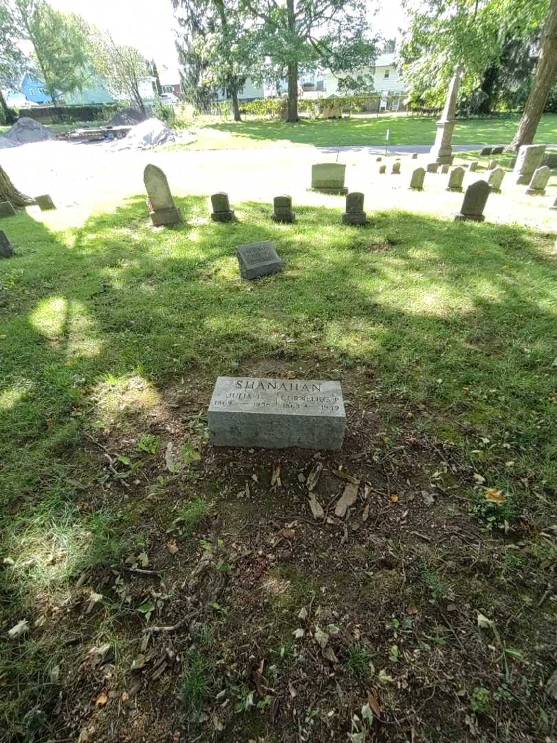 Cornelius P. Shanahan's grave. Photo 1