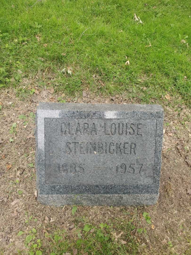 Clara Louise Steinbicker's grave. Photo 3