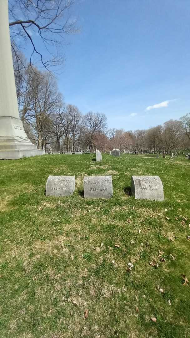 Harold A. Moyer's grave. Photo 2