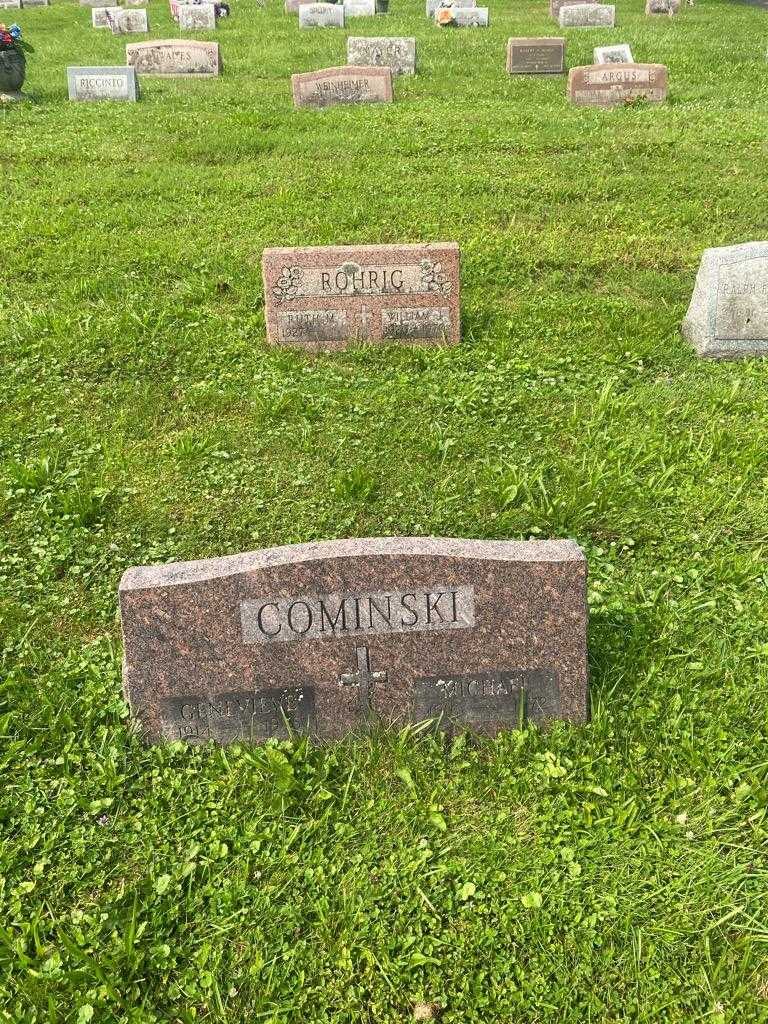 Michael Cominski's grave. Photo 2