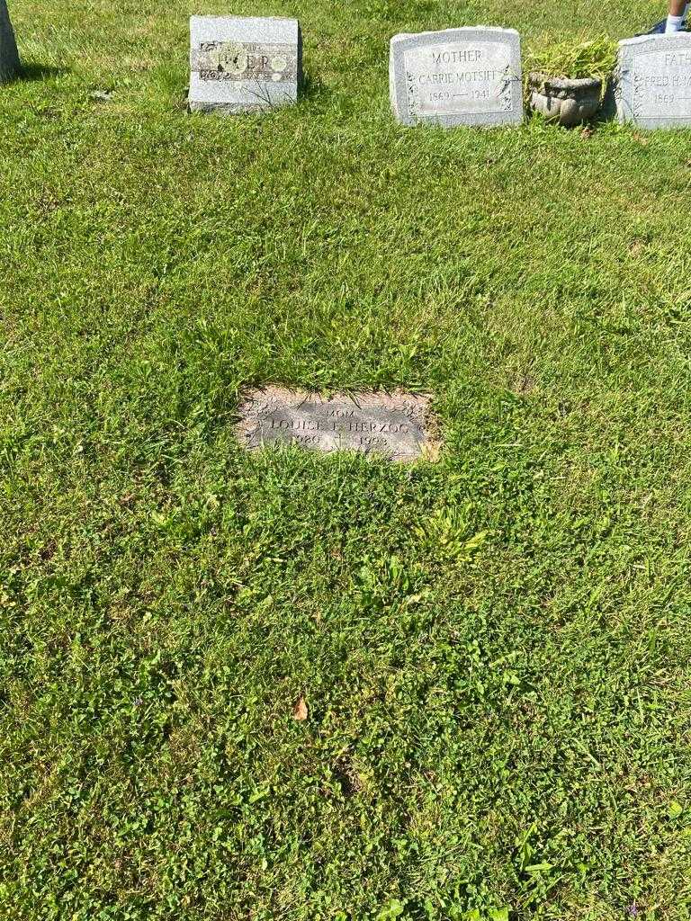 Louise E. Herzog's grave. Photo 2