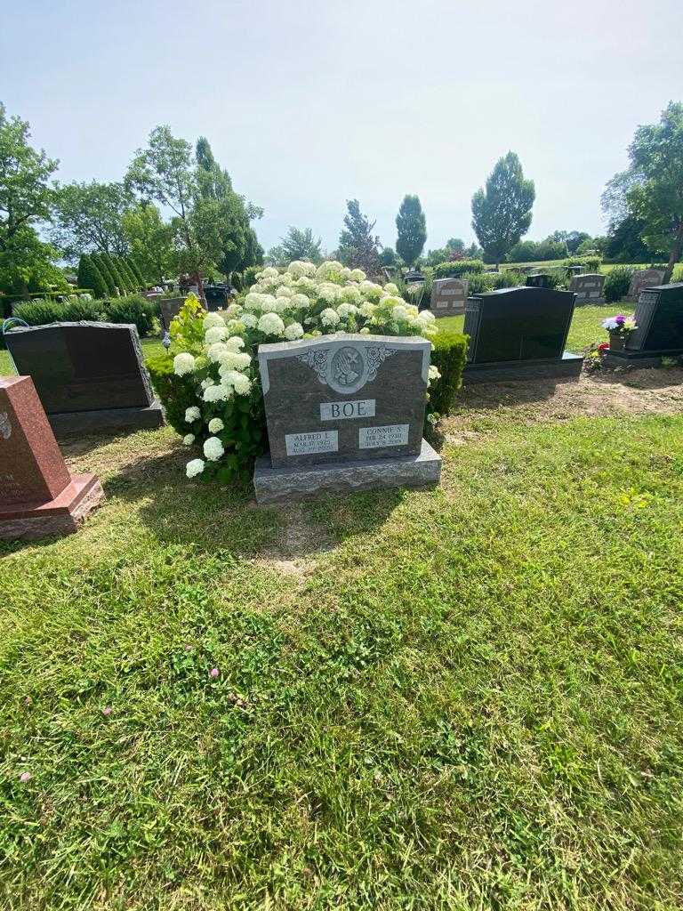 Alfred L. Boe's grave. Photo 1
