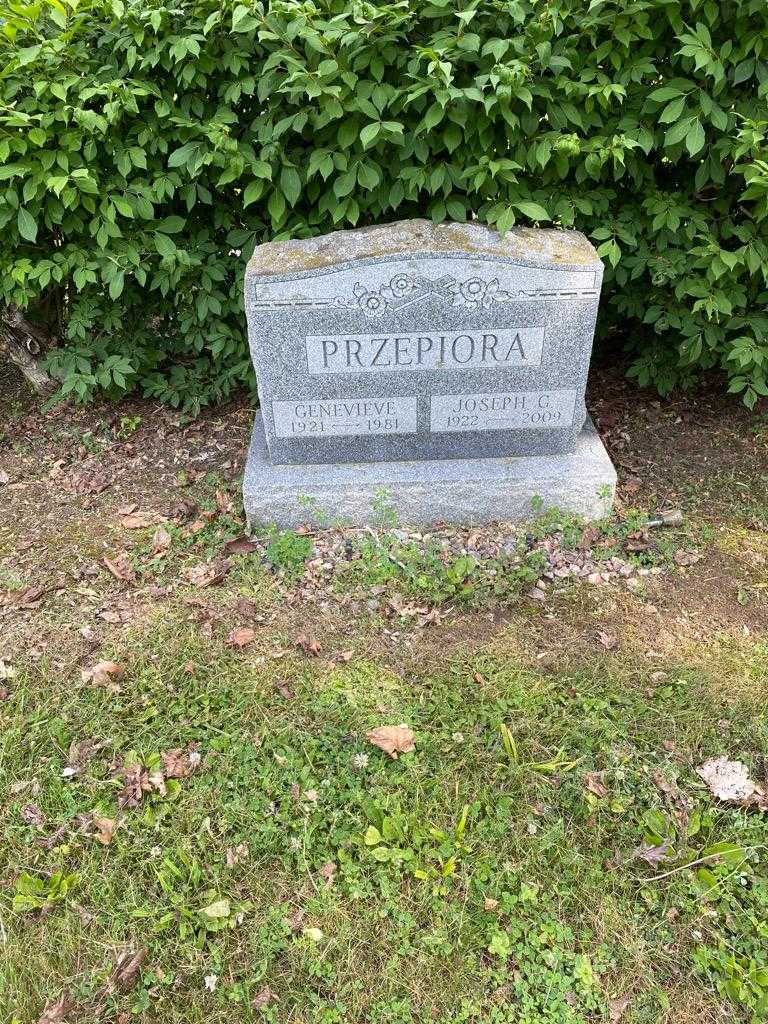 Joseph G. Przepiora's grave. Photo 2