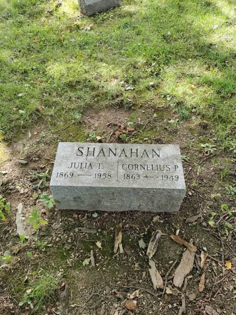 Cornelius P. Shanahan's grave. Photo 2
