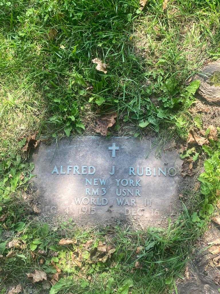 Alfred J. Rubino's grave. Photo 4