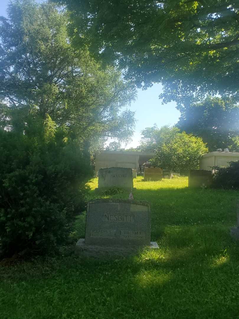 William F. Nesbitt's grave. Photo 1