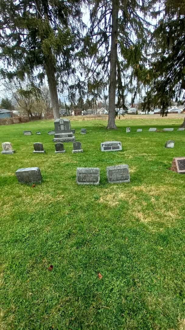 Henry L. Morgan's grave. Photo 1