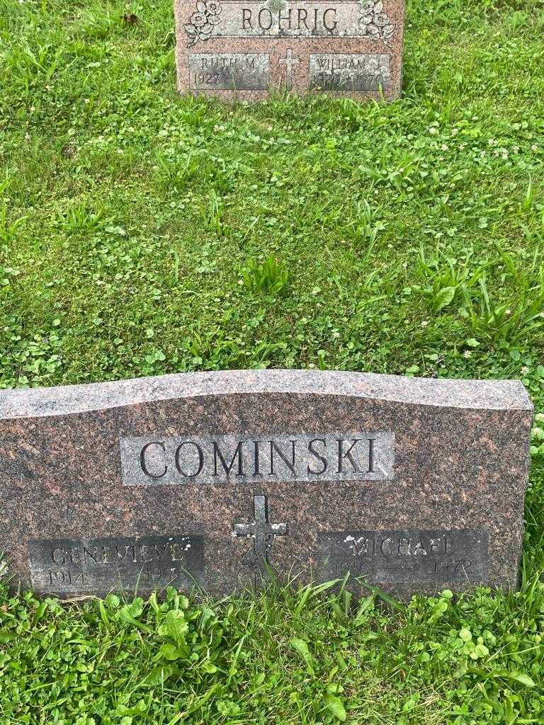 Michael Cominski's grave. Photo 3