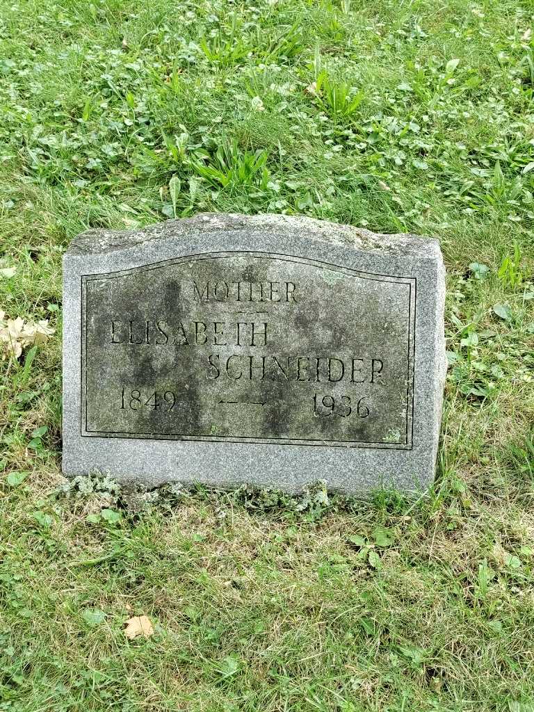 Elizabeth Schneider's grave. Photo 2