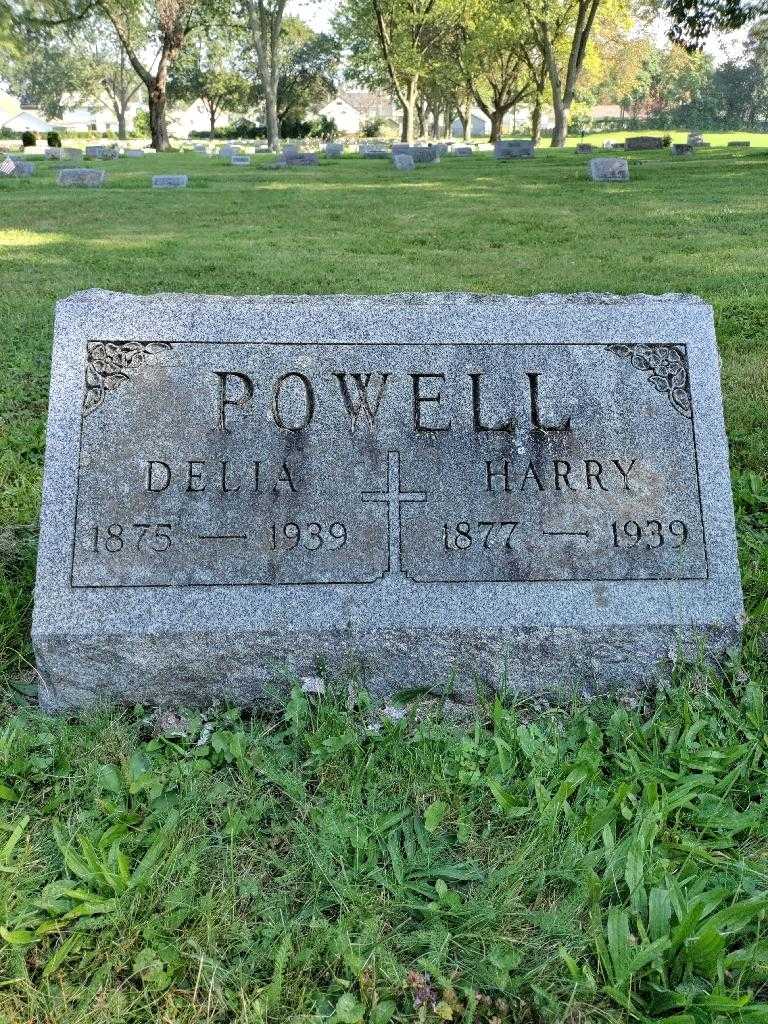 Harry F. Powell's grave. Photo 3