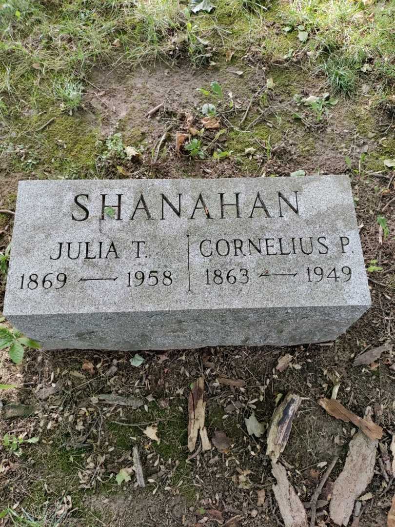 Cornelius P. Shanahan's grave. Photo 3