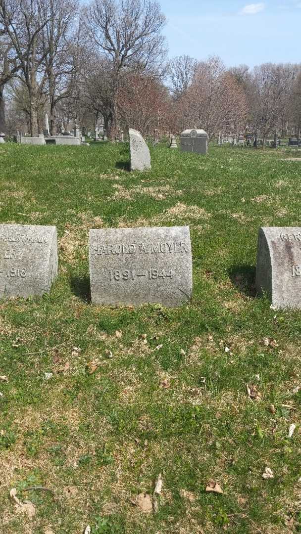 Harold A. Moyer's grave. Photo 3