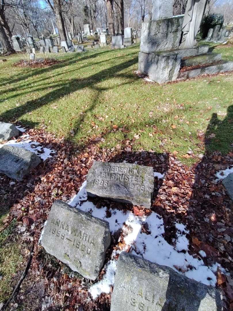 Frederick Carl Armbruster's grave. Photo 1